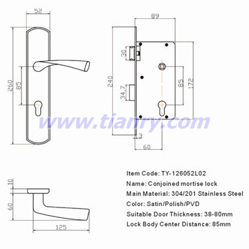 Conjoined mortise lock