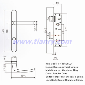 Conjoined mortise lock